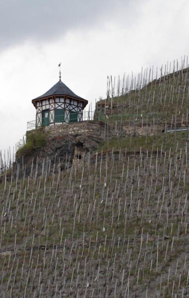 Weingut & Gaestehaus Schmitz-Bergweiler Bernkastel-Kues Exteriér fotografie